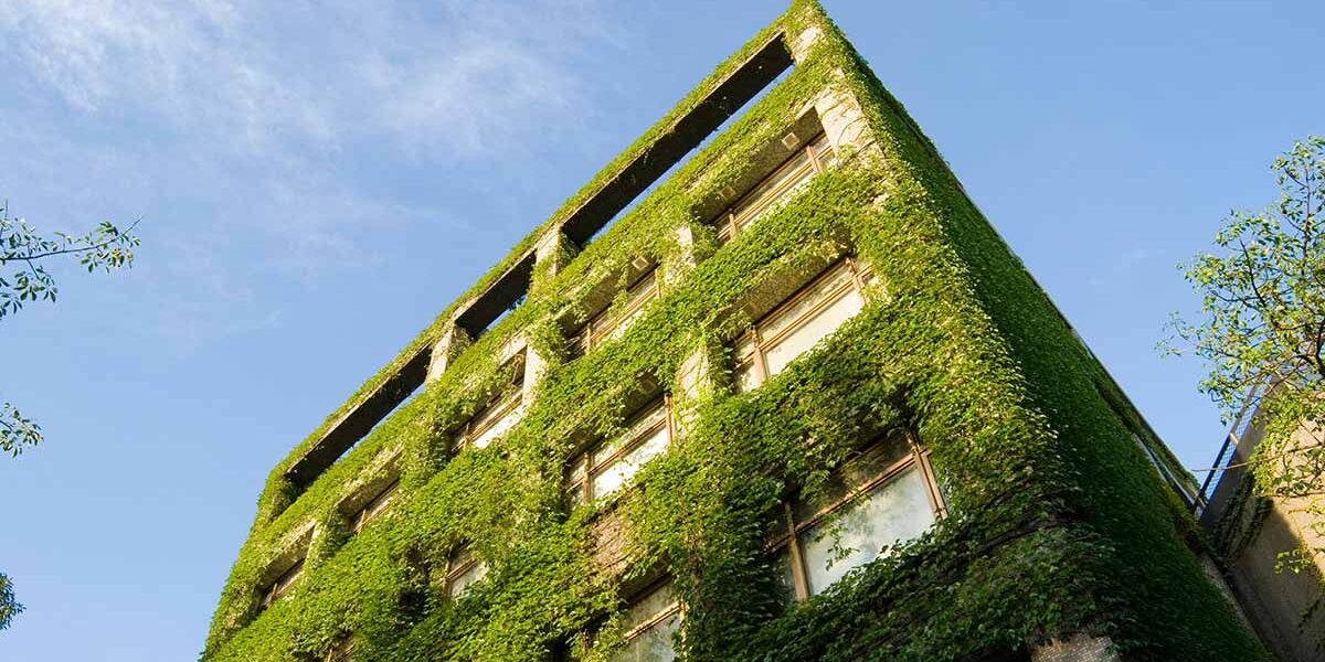 Immobilienbewertung Ein mit Pflenzen bewachsenes Mehrfamilienhaus, für besonders gute Energieeffizienz, was den Immobilienwert beeinflusst | Immobilienbewertung