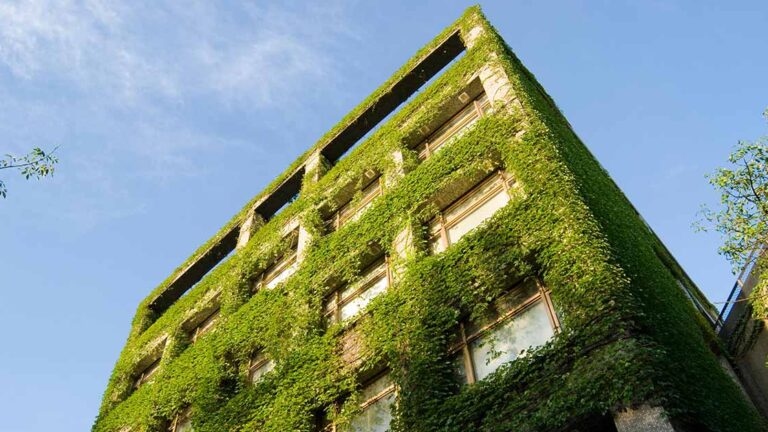 Immobilienbewertung Ein mit Pflenzen bewachsenes Mehrfamilienhaus, für besonders gute Energieeffizienz, was den Immobilienwert beeinflusst | Immobilienbewertung