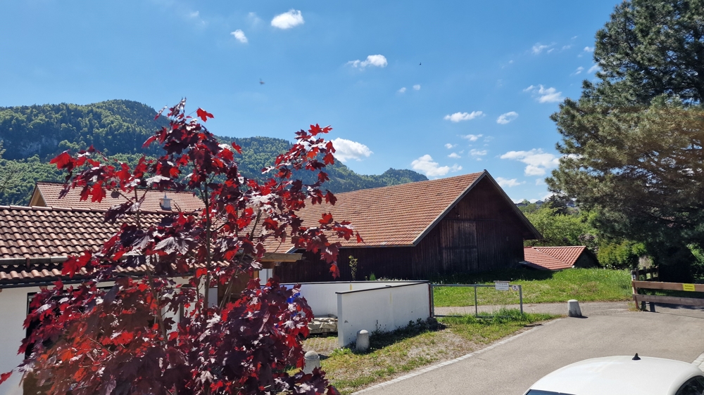 Ausblick Terrasse