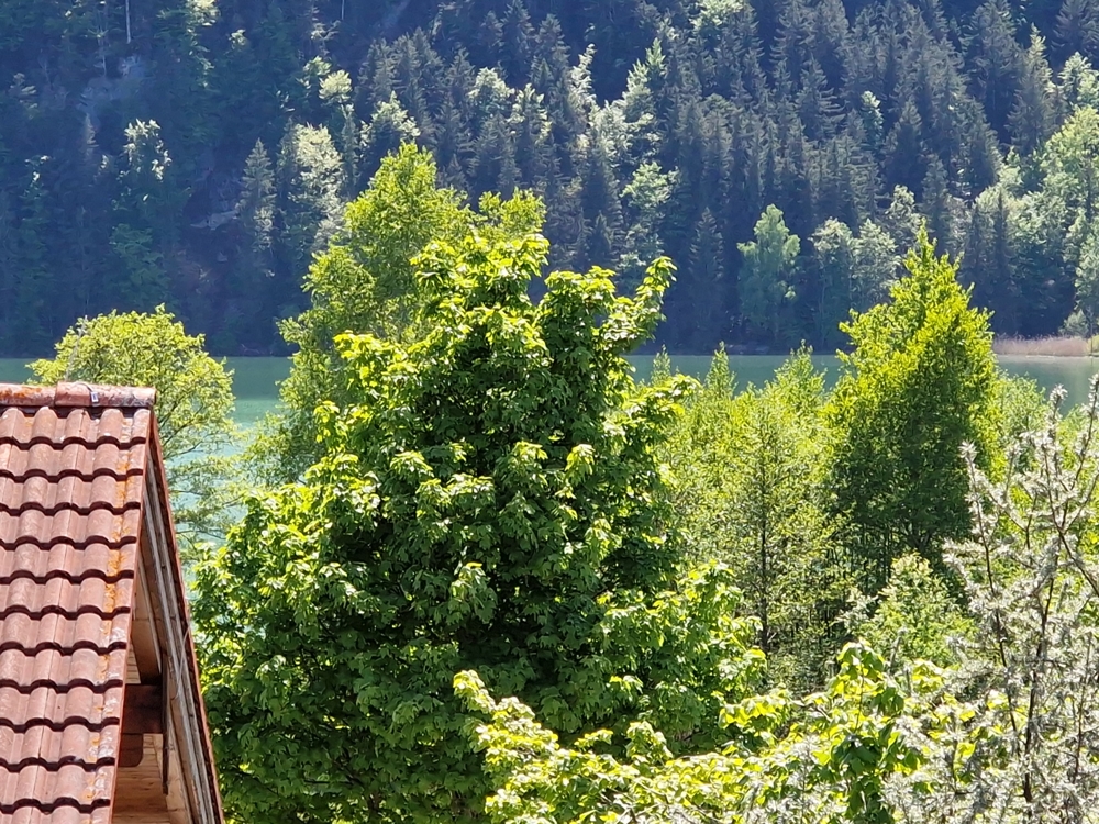 Ausblick Panoramafester