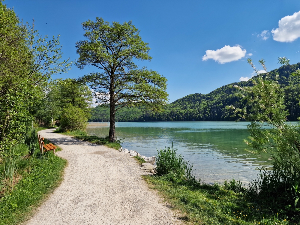 Fußweg am Weißensee